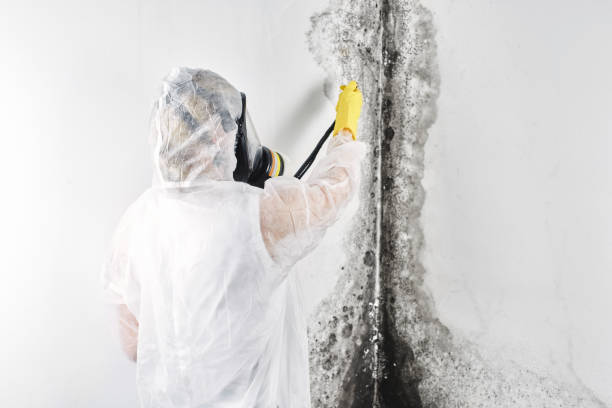 Water damage restoration mold remediation in Grimes, IA